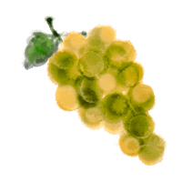 uva-blanca-acuarela-200-4