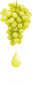 info-vermouth1-mov